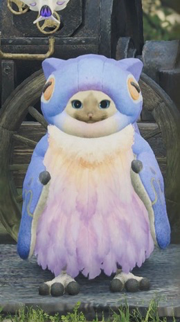 モンハンワイルズのビセイウタネコ前