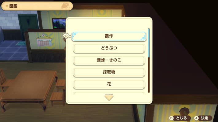 牧場物語 風のグランドバザールの本棚見た目