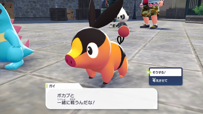ポケモンZAのポカブ選択