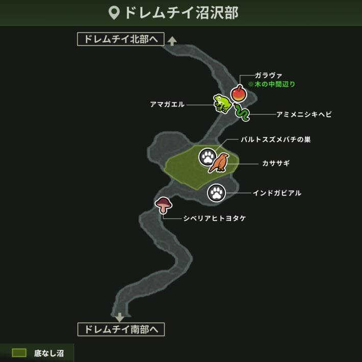 ドレムチイ沼沢部＿動植物