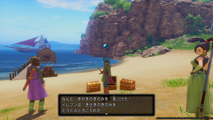 メタルキング・強からきせきのきのみが入手可の画像