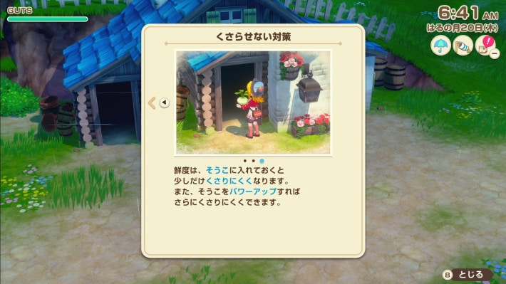 牧場物語 風のグランドバザールの倉庫は腐りにくくする