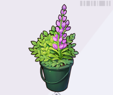 緑のバケツと紫の花穂