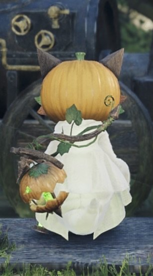 モンハンワイルズのゴーストネコ後