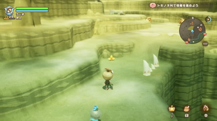 クネック山岳⑤_リーフナー