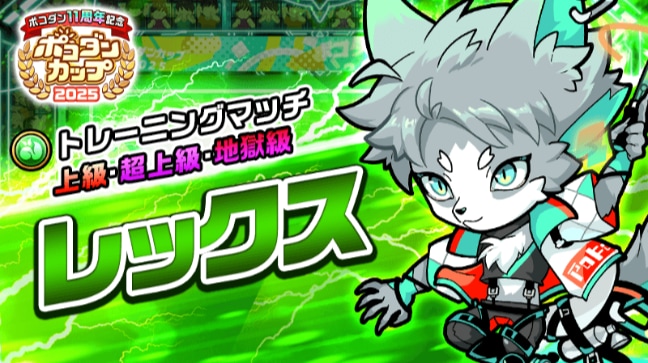 トレーニングマッチ