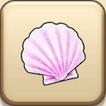ひびきの貝がら