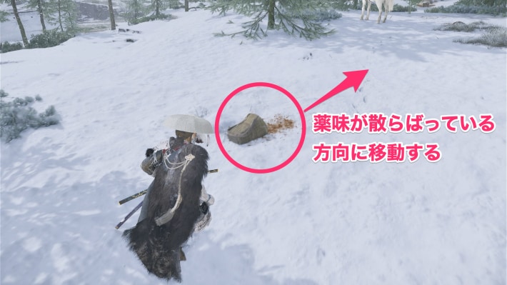 ゴーストオブヨウテイの薬味