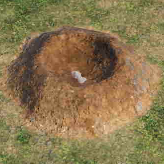 ポケモンZAのホルード