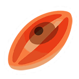 いじげんバコウのみ