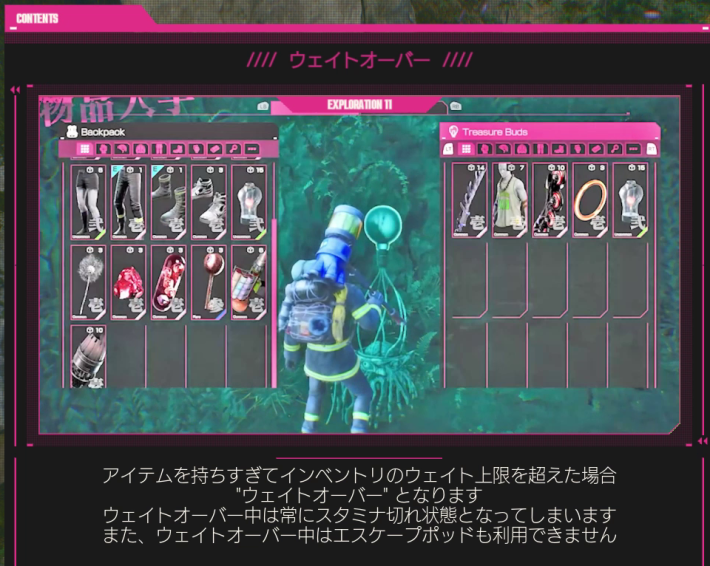 所持品のウェイトとウェイトオーバーの注意点の画像