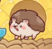 ペットの入手方法と飼うメリットの画像