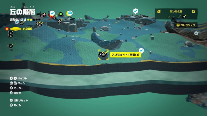 現地画像