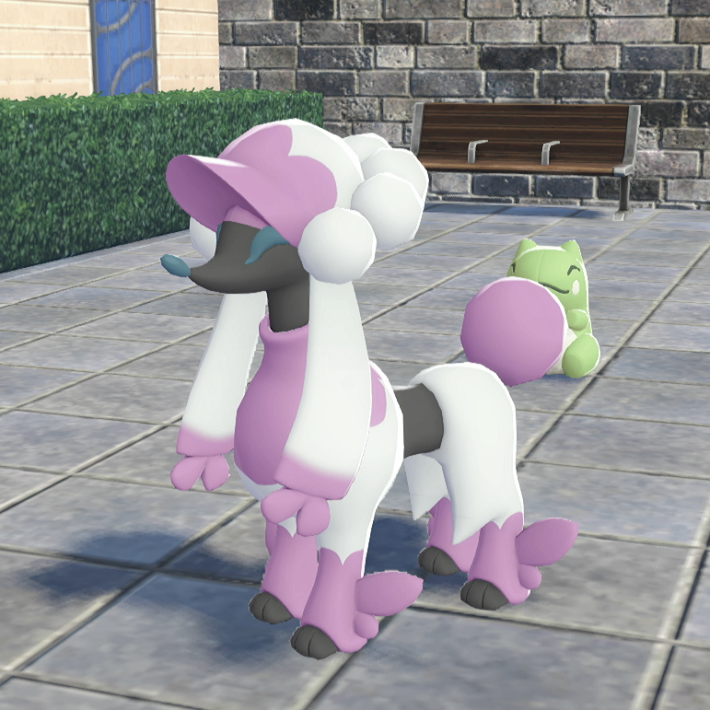 ポケモンZAのトリミアンカットのマダム