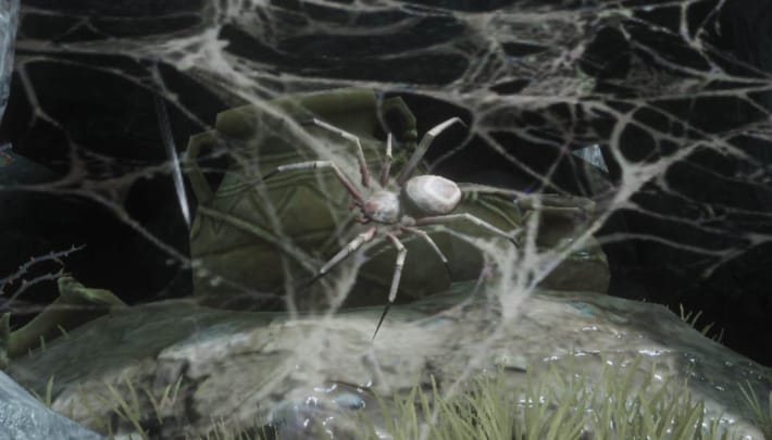 Sludge Spider in the field