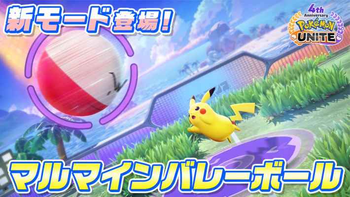 マルマインバレーボール