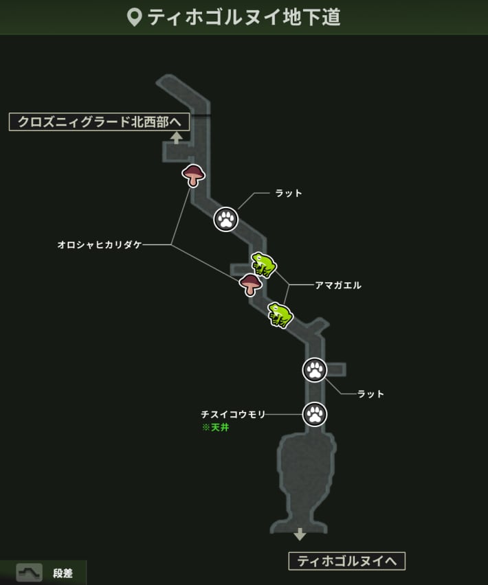 ティホゴルヌイ地下道_動植物