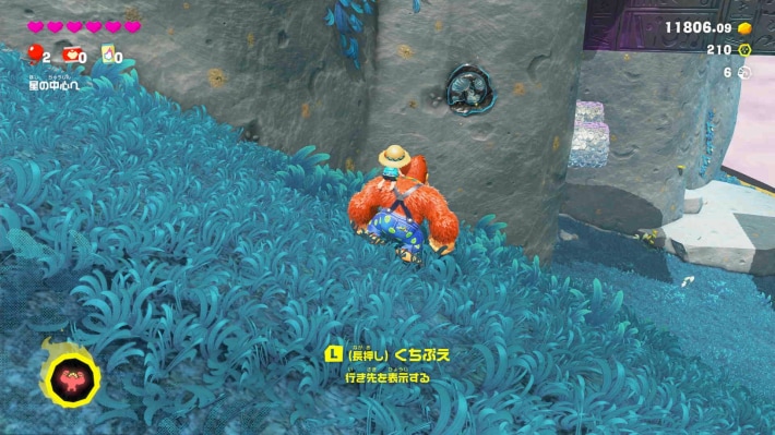 現地画像