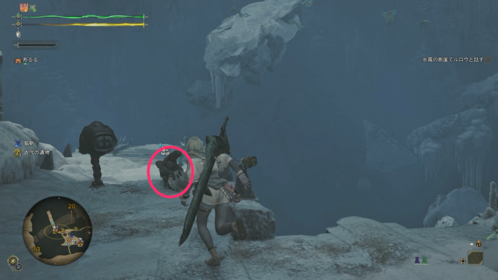 モンハンワイルズのルロウの見た目