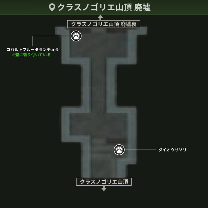 クラスノゴリエ山頂_廃墟_動植物