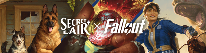 マジック：ザ・ギャザリング」「Fallout」のカードコレクション