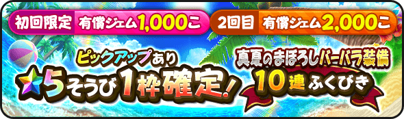 2回限定の星5確定ガチャ