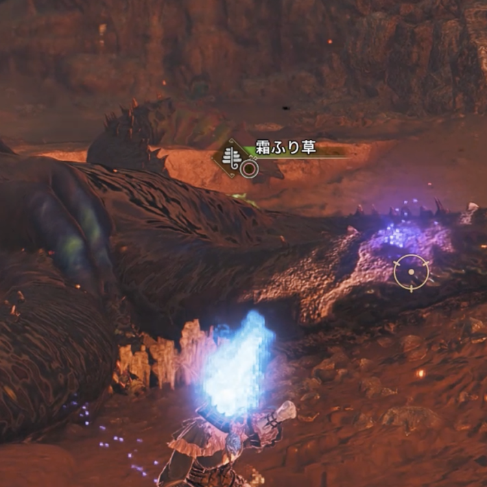 歴戦王ヌエグドラ歴戦傷