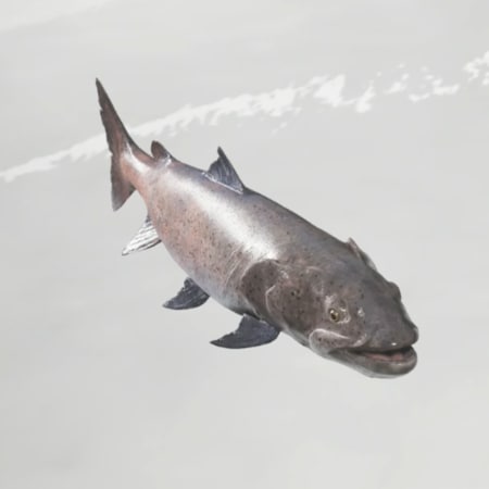 ゴーストオブヨウテイの魚