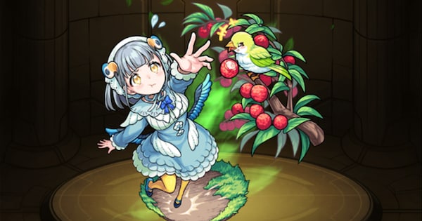 ドドチ