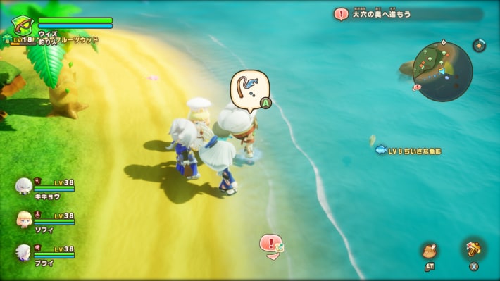 フグの現地画像