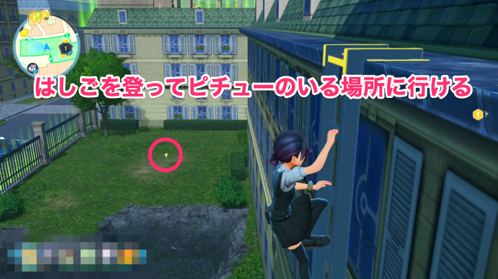 ワイルドゾーン1のピチューまでの道のり