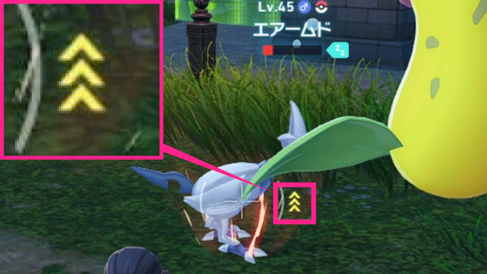 エアームドをねむけにしたとき