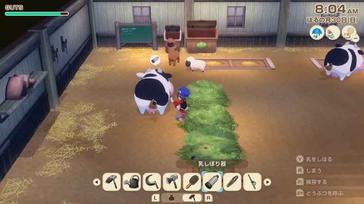 牧場物語 風のグランドバザールの牧場