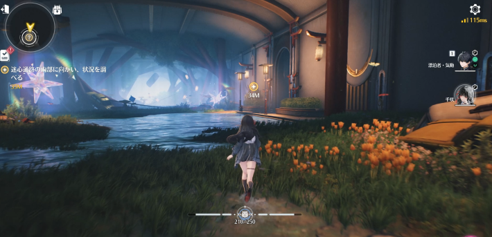 迷心通路の内部の状況を調べる