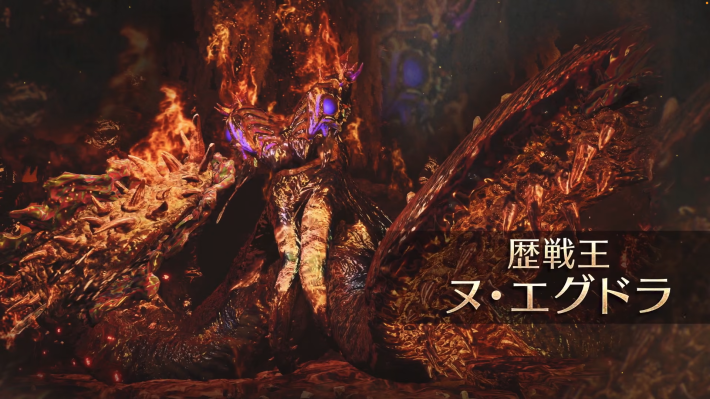歴戦王ヌエグドラ