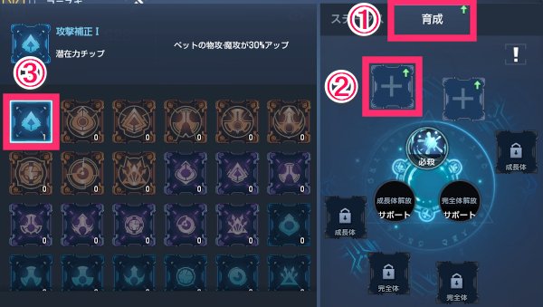 コード ドラゴンブラッド ペットの効果と効率的な育て方 ドラブラ ゲームウィズ Gamewith