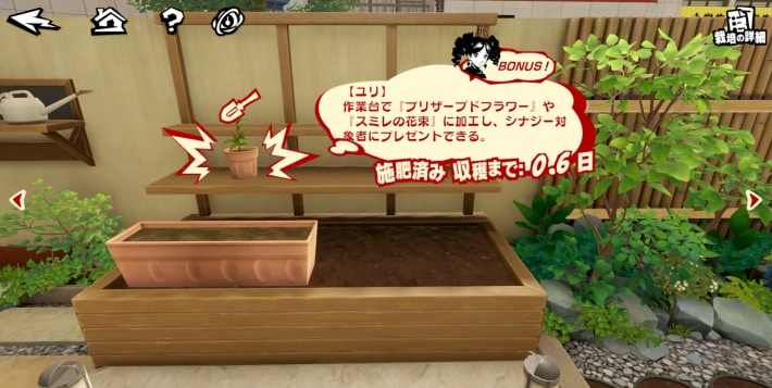 栽培のやり方と種の入手方法の画像