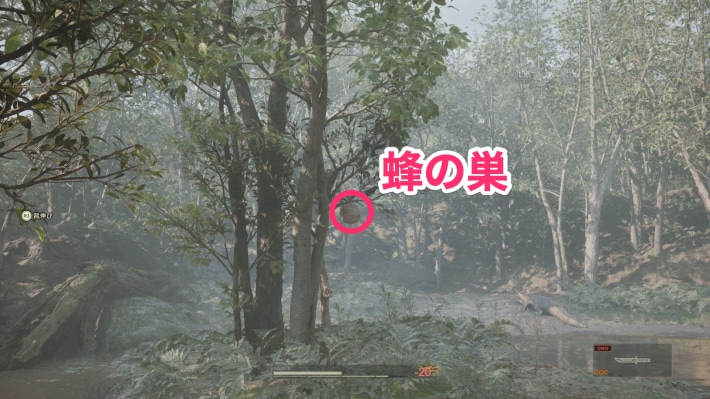 蜂の巣の画像