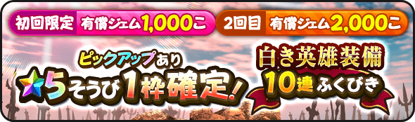 2回限定の星5確定ガチャ