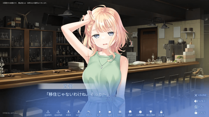 キャプション１５－３