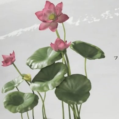 ゴーストオブヨウテイのハス