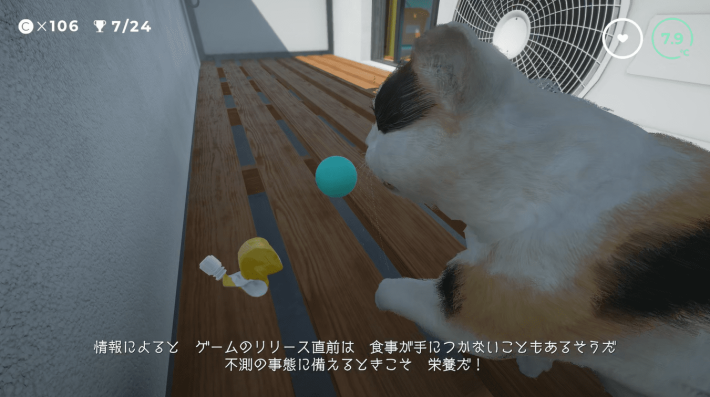 ねこ