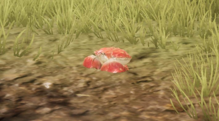 Ironfist Crab in the field