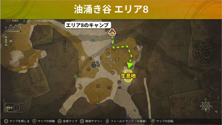 ホムラエリトカゲ_場所詳細