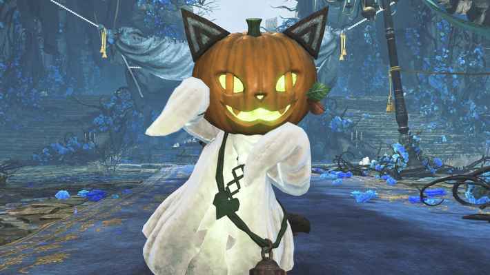 モンハンワイルズのゴーストネコα