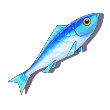 餌用小魚