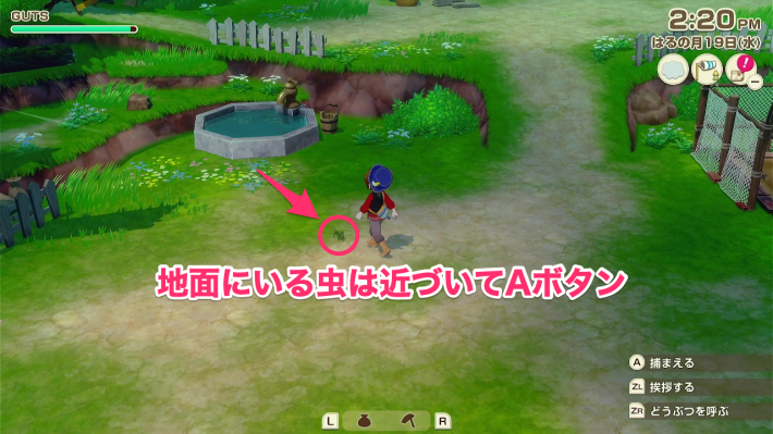 牧場物語 風のグランドバザールの虫の捕まえ方1