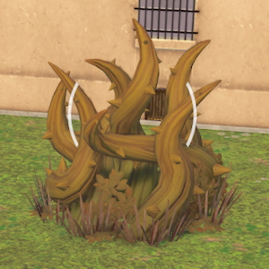 ポケモンZAの木の根