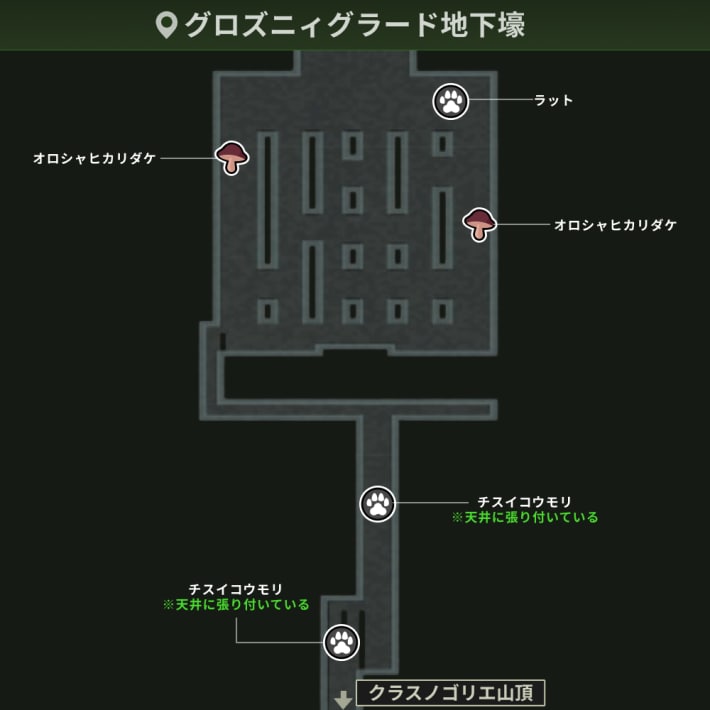 グロズニィグラード地下壕_動植物