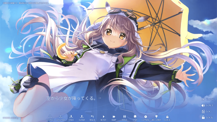 キャプション１１－２